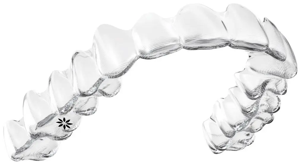 Invisalign şeffaf plağın diş üzerinde hareket mekanizmasını gösteren görsel